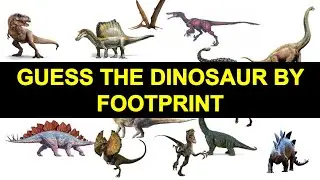 Guess the Dinosaur by Footprint