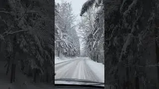Polish winter 🇵🇱#winter #nature #world #travel #poland #winterforest #road #roadtrip