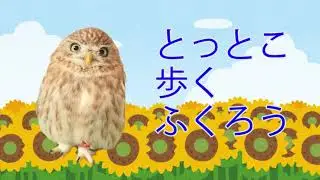 ただただ歩くふくろうに癒される動画☆【Soothing video of a walking owl.】