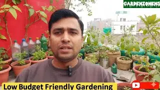 Low Budget terrace garden ideas for beginners #gardenzonens #budgetgardening 