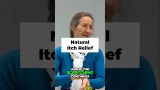 Natural Itch Relief: The Power of Chickweed Remedies