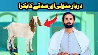 Darbar Mutawalli or Sadky's Goat | Motivational Video | Bhakkar Boys