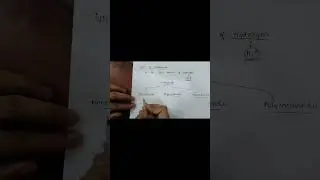 biomolecule basics, molecular biology 101, biochemistry fundamentals, cellular structures sem 2  du