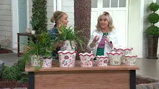 Temp-tations Outdoor Centertaining S/3 Garden Critter Planter on QVC