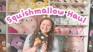 All of My Recent Cow Squishmallows! (Squishmallow Haul)