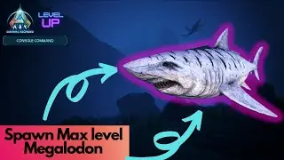Tamed Megalodon Spawn Command | Ark Survival Ascended