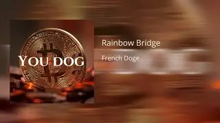 French Doge - Rainbow Bridge