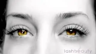 3D-6D Volume Lash Extensions