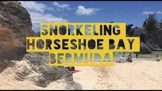 Snorkeling Horseshoe Bay - Bermuda