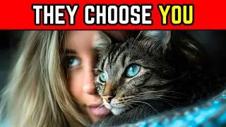 12 fois o&ugrave; les chats ont choisi leur humain plut&ocirc;t que tout le reste