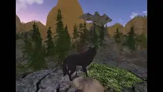 The Wolf - new update YOSEMITE FALLS + A secret place!!!🐺