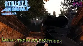 БОЖЕСТВЕННАЯ ВИНТОВКА | S.T.A.L.K.E.R Anomaly build F.E.A.R. | Серия 34