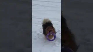 НА ПРОГУЛКЕ