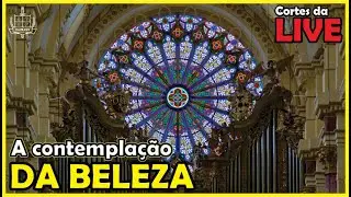 Ao contemplar o belo voc&ecirc; sente que a sua alma est&aacute; se elevando para Deus