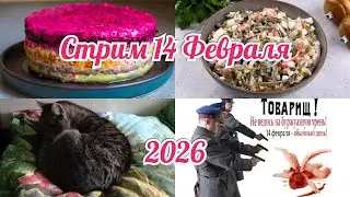 Самый обычный стрим  14.02.2026