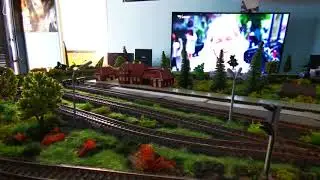 DSB mz 1461