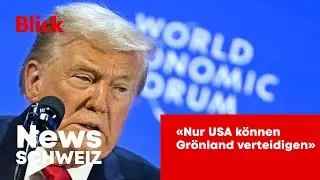 &laquo;Только США могут защитить Гренландию&raquo;