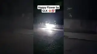 Happy Flower by GLK 💥 2021 #happyflower #glkfireworks #streetpyro #makatipyro #taguigpyro
