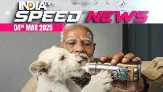 PM Modi opens wildlife center in Jamnagar, feeds lion cubs at Vantara | 4 March | Speed News