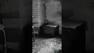 Creepy evil doll #scary #creepy #evil #Annabelle#Halloween#Creepy#halloween2024 #sinistersounds