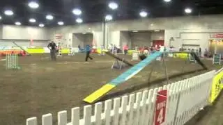 Cynosports