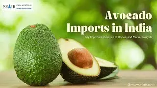 Avocado Imports in India: Key Importers, Buyers, HS Codes, and Market Insights