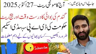 Paddy Rate,Wheat Sowing Time,DAP Subsidy Update|27 Oct 25|آج کی سب سے اہم ویڈیو کسان بھائیوں کے لیے