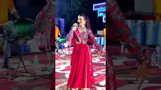 Sarkari Ridham  #mahidesai #garba #sarkariridham