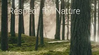 Tarkett wood flooring - Let the beauty of nature into your home !