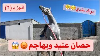 #فلوق (٨) حصان عنيد ويهاجم ويشنّع وطريقة التعامل معه؟😱😡