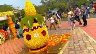 central park flowers show vizag 