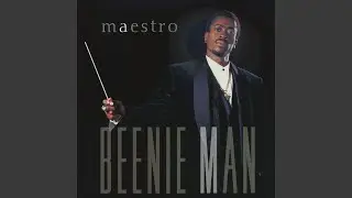 Maestro