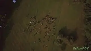 Opening Day Hunt 2017
