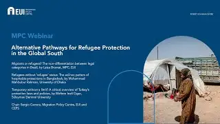 Alternative Pathways for Refugee Protection in the Global South
