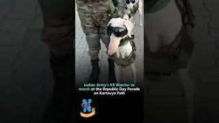 Indian Army&rsquo;s K9 Warriors Marching at Republic Day Parade 🇮🇳 | Goosebumps Moment