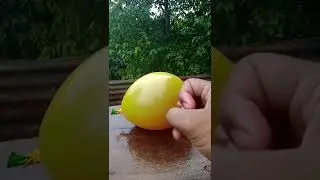 3 Layer Water Balloon And Petrol Experiment | Petrol Tricks | #shorts #youtubeshorts #trending