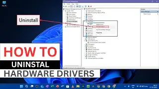 Uninstall Any Hardware Driver Using Device Manager in Windows 11 | Apex Loop.