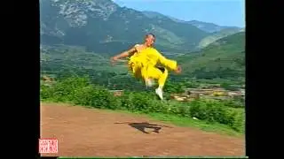 Amazing leopard fist (demo by shi xing hong)