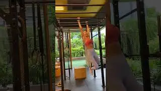 Unleash Your Inner Primate: Master the Monkey Walk for a Full-Body Transformation! #Workout 113