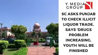 SC asks Punjab to check illicit liquor trade, says &lsquo;Drugs problem increasing, youth will be finished