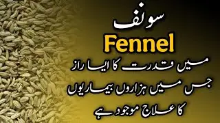Sonf Sy kren har bimari ka ilaj | Fennel benefits Urdu/hindi