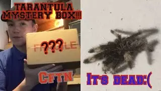 £50 Creatures From The North Mystery Box! We Lost a sling :(