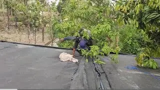 PERSIAPAN ACARA PERNIKAHAN PROSES PEMASANGAN TEROP DATAR 6x36 MODEL TANGKEPAN - Terop balap group