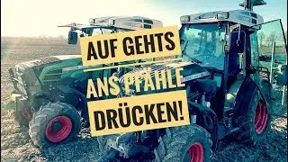 Obsthof Raddatz - Pf&auml;hle dr&uuml;cken und pflanzen auf der neuen Fl&auml;che! #2
