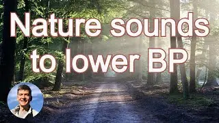 Nature sounds to lower blood pressure | Lower blood pressure quickly at home