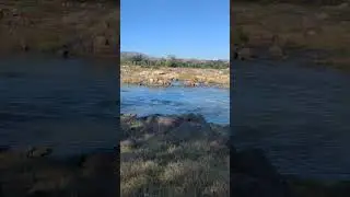 The Beautiful Majete Game reserve and Shire river in Malawi #Fy #ShireRiver #Majete #Gamereserve