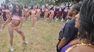 Texas Southern vs Alcorn State - Endymion Mardi Gras Parade 2026
