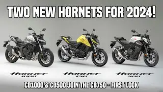 Two new Honda Hornet models for 2024!  CB1000 & CB500 - First look