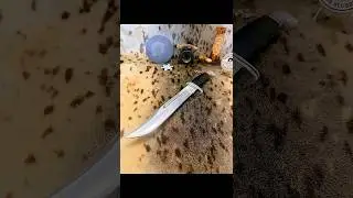 👉 You Can&rsquo;t Talk Clip Points Without This Knife | Buck 120 #clippoint