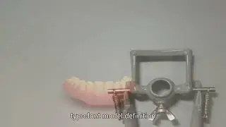 dental education model China High Quality Manufacturer,Dental 200 Series China High Quality Company,